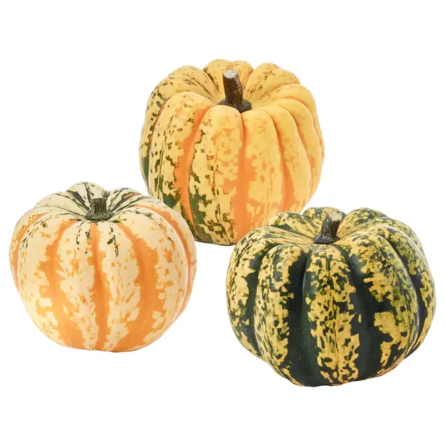 CUCURBITA Декоративний гарбуз - різні